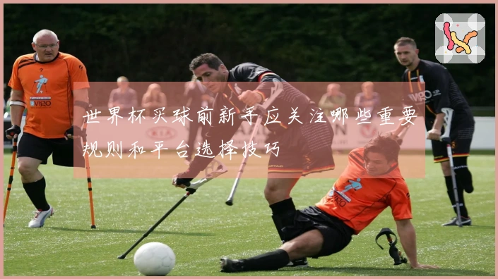 世界杯买球前新手应关注哪些重要规则和平台选择技巧